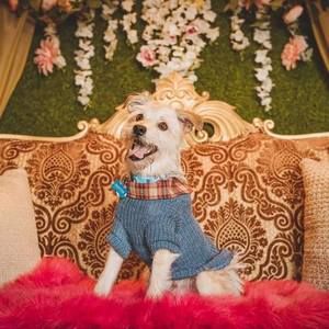 Meet your Posher, Katrina